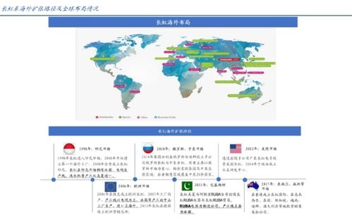 四川长虹半年报 扬帆出海未来可期，营收逆市增长10.24%